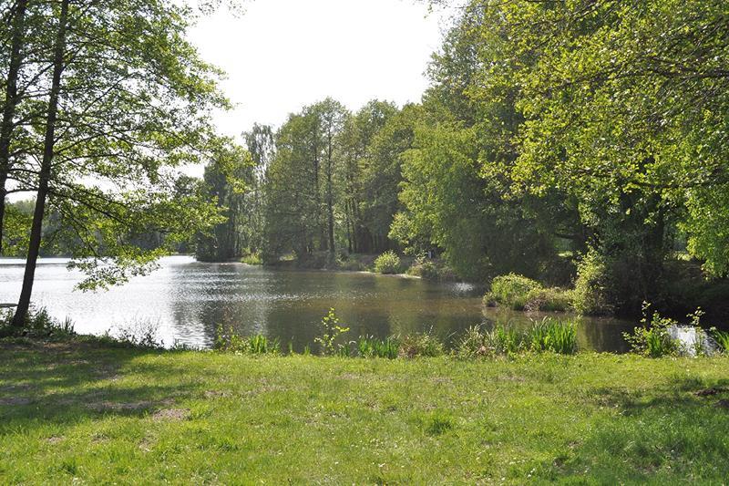 نيوستاد ام روبنبر Ferienpark Tannenbruchsee المظهر الخارجي الصورة