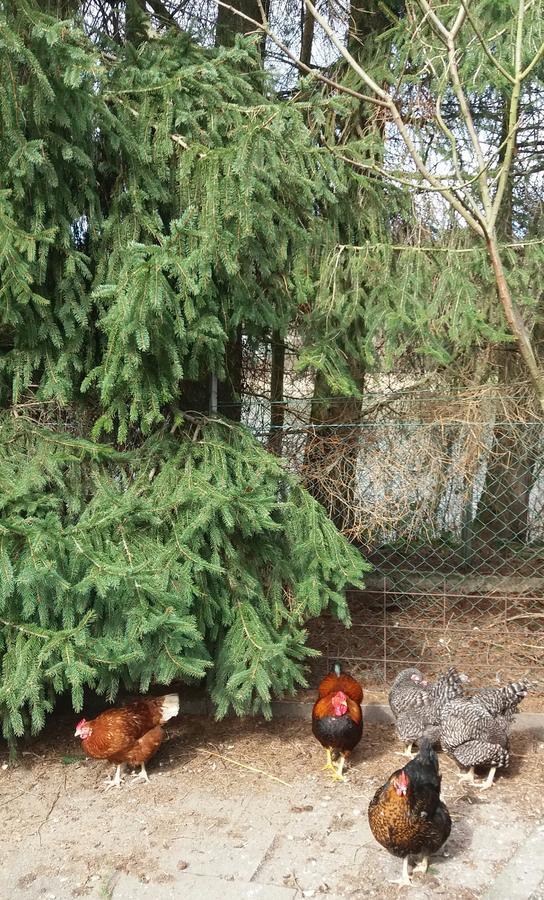 نيوستاد ام روبنبر Ferienpark Tannenbruchsee المظهر الخارجي الصورة